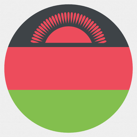 Malawi flag icon on a grey background. The concept of national pride and symbol of the country.のイラスト素材