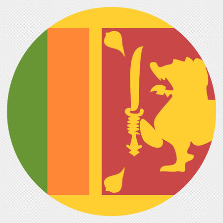 Lion icon on a grey background. Vector illustration. Eps 10のイラスト素材