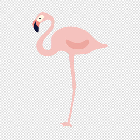 Pink flamingo on a transparent background. Vector illustration in flat style.のイラスト素材