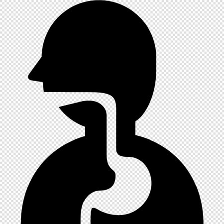 Man Profile Silhouette - Vector Illustration - Isolated Transparent Backgroundのイラスト素材