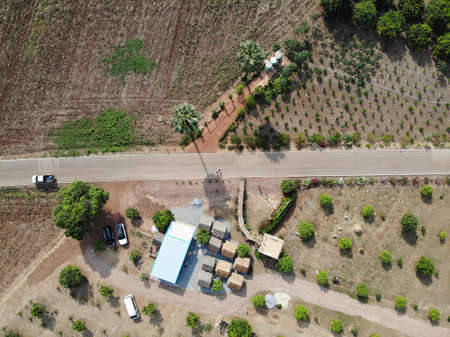 land top view car on road househould and plantsの写真素材