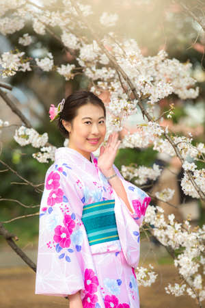 Tokyo,Japan- Mar 27,2019 : cute young asian woman in traditional japanese kimono enjoy sakura...
