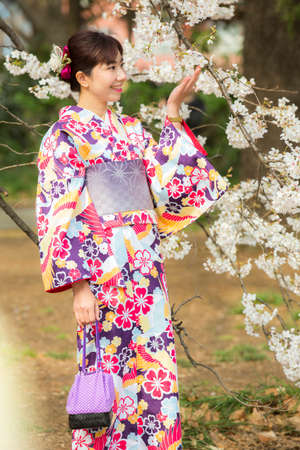 Tokyo,Japan- Mar 27,2019 : cute young asian woman in traditional japanese kimono enjoy sakura festival at shinjuku gyoen cherry blossom in springのeditorial素材