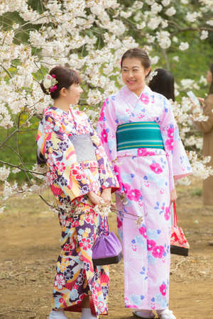 Tokyo,Japan- Mar 27,2019 : two asian women in traditional japanese kimono enjoy sakura festival at shinjuku gyoen cherry blossom in springのeditorial素材