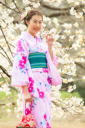 Tokyo,Japan- Mar 27,2019 : cute young asian woman in traditional japanese kimono enjoy sakura festival at shinjuku gyoen cherry blossom in springのeditorial素材