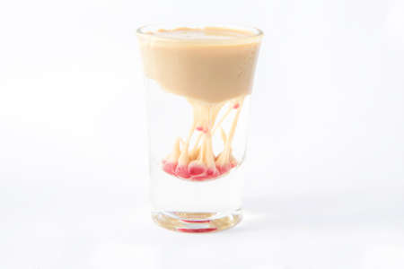 irish cream layering drinks and shotの写真素材