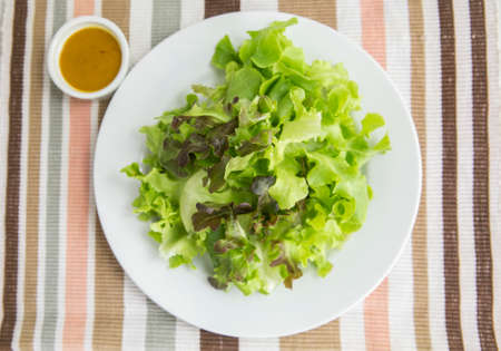 green oak vegetable leaves serve in white plate with dressingの写真素材