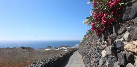 Narrow street with flowersの素材
