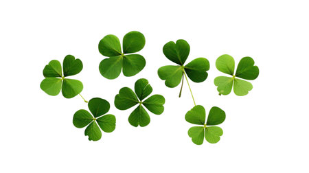 St. Patricks' Day Green clover leaves isolated on white background, generative aiの素材
