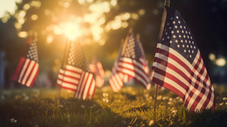 American flags on green grass with sunlight background, american independence day conceptの素材