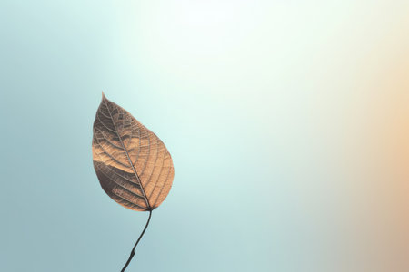 serene minimalistic background with a single leaf silhouette, capturing the simplicity and beauty of natureの素材