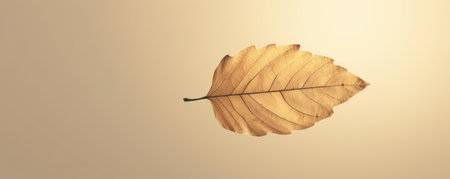 Panorama of serene minimalistic background with a single leaf silhouette, capturing the beauty of nature in its simplest formの素材
