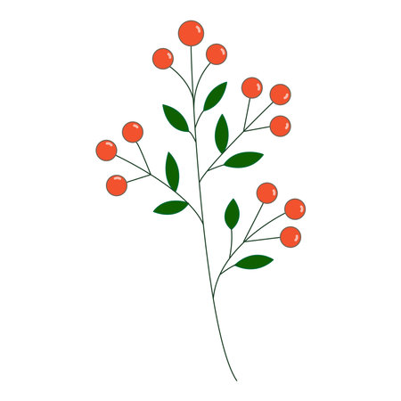 Holly berries and leaves vector illustration, christmas, new year, winterのイラスト素材