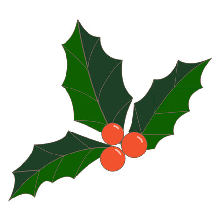 Holly berries and leaves vector illustration, christmas, new year, winterのイラスト素材