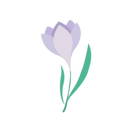 hand drawn cute spring snowdrop flowerのイラスト素材