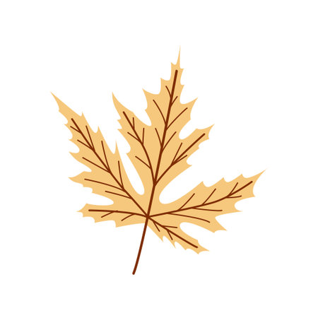 Autumn Maple Leaf Vector Fall Season Botanical Illustration for Decor and Designのイラスト素材