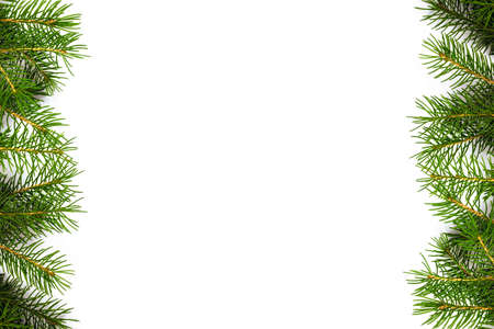 on a white background, branches of a Christmas tree around the edgesの写真素材
