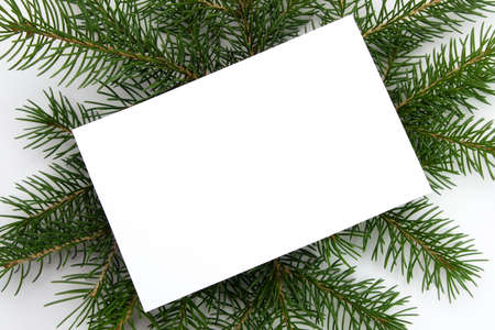 space for text on the background of fir branchesの写真素材