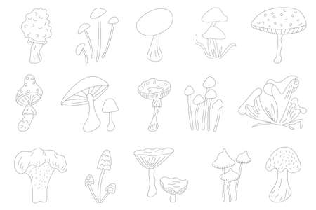 set of black outline mushroomsのイラスト素材