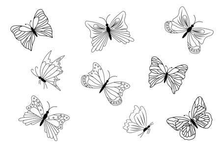 set of black outline butterfliesのイラスト素材