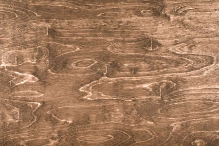 natural textured brown wood backgroundの写真素材
