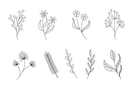 set of twigs with black outlineの写真素材