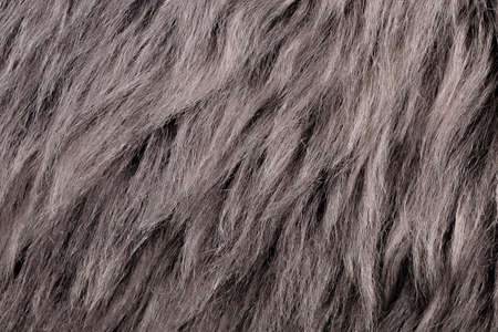 natural animal fur gray brown color backgroundの写真素材