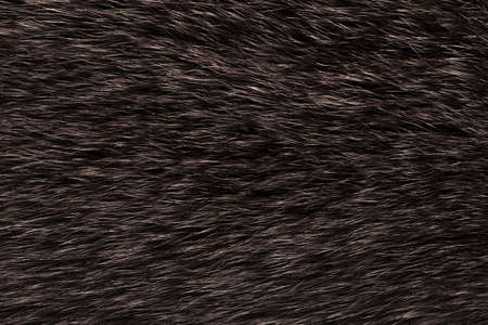 natural animal fur dark brown backgroundの写真素材