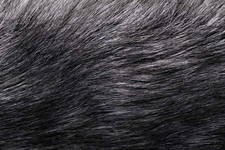 black and gray faux fur backgroundの写真素材