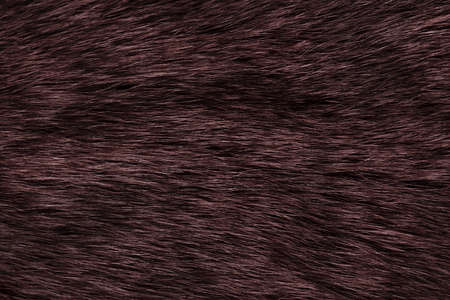 background natural fur of brown colorの写真素材