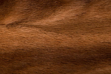 background of natural wool mink brown colorの写真素材