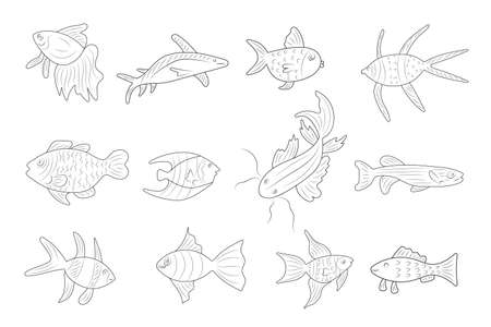 set of different fish with black outlineのイラスト素材