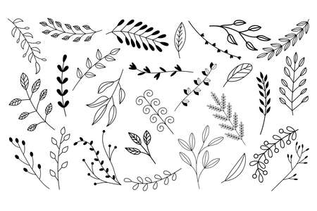 set of twigs with black outlineのイラスト素材