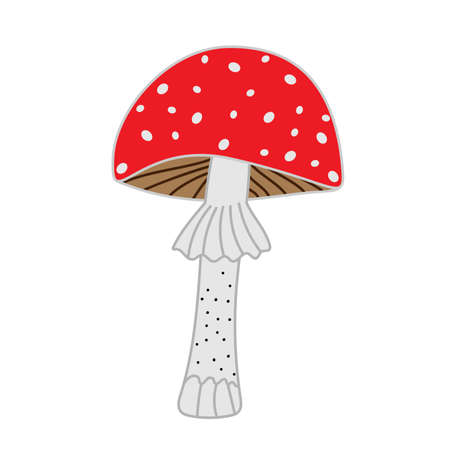 fly agaric mushroom on white backgroundのイラスト素材