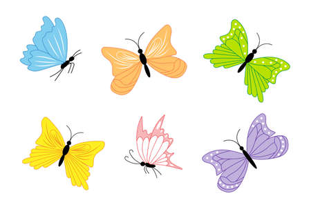 set of colored butterflies of six piecesのイラスト素材