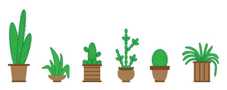 set of succulents and cactiのイラスト素材