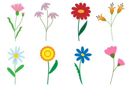 flowers set of eight piecesのイラスト素材