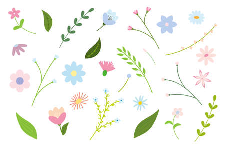 set of flowers and twigs on a white backgroundのイラスト素材