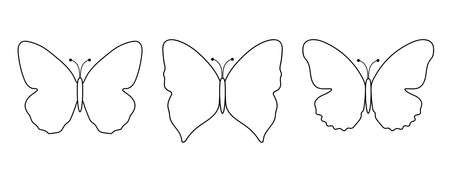 set of black contour butterflies on a white backgroundのイラスト素材
