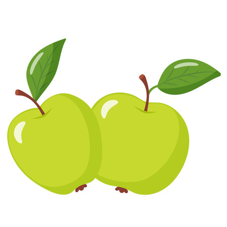 two green apples with leavesのイラスト素材