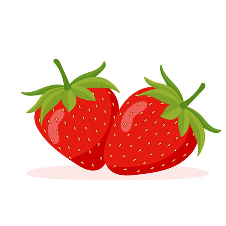 two ripe strawberriesのイラスト素材