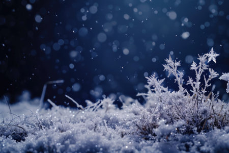 Frozen plants with snowの素材