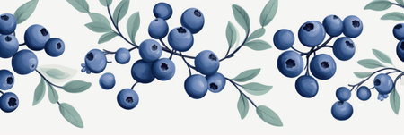 Blueberry pattern on light background.の素材