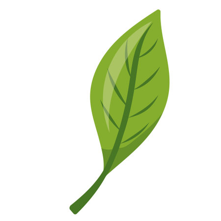 Eco icon with green leafのイラスト素材