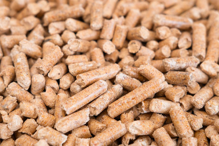 Wooden cat litter, top view. Hygienic litter for pets. Wood pellet cat litter as a background,...