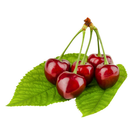 cherries with leaves isolated on white background.の写真素材