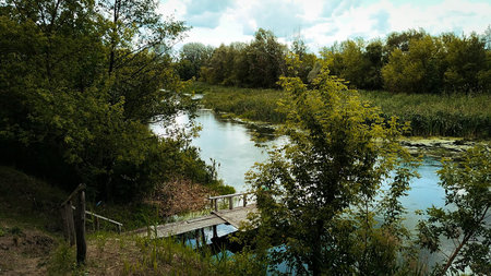 Wooden Jetty on River in a Green Landscape.の写真素材
