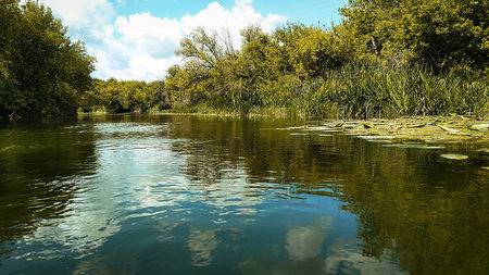 Scenic River Landscape with Fishing Rod.の写真素材