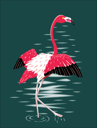 Flamingoのイラスト素材