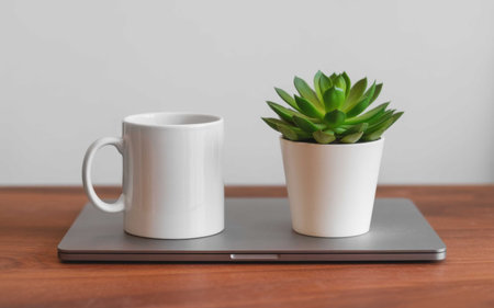 Minimal Desk Setup with White Mug and Succulent on Closed Laptopの素材